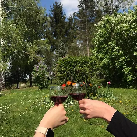 Ildiko Vendeghaz *
