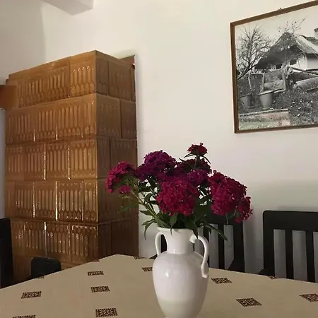 Ildiko Vendeghaz * Magyarszombatfa