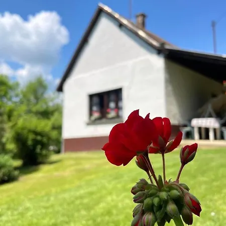 Ildiko Vendeghaz Dom wakacyjny Magyarszombatfa