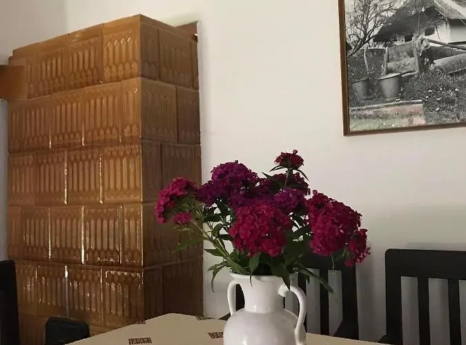Ildiko Vendeghaz * Magyarszombatfa